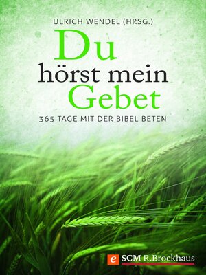 cover image of Du hörst mein Gebet